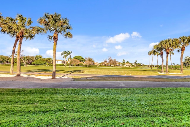 view of home's community featuring a yard