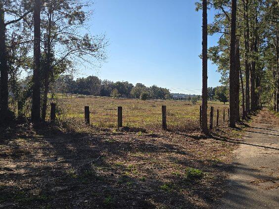 view of yard featuring a rural view