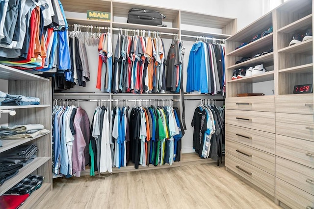 walk in closet featuring hardwood / wood-style floors