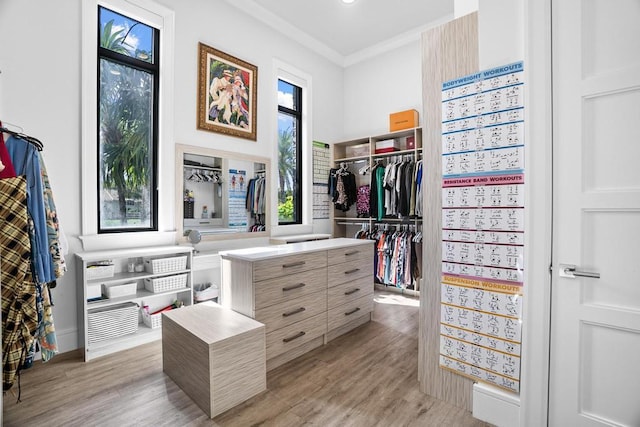 spacious closet featuring light wood-type flooring