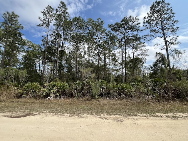 206 Royal Ave, Interlachen FL, 32148 land for sale