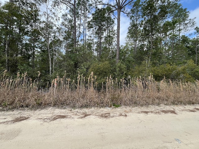 215 Royal Ave, Interlachen, FL 32148