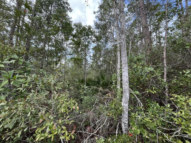 215 Royal Ave, Interlachen, FL 32148