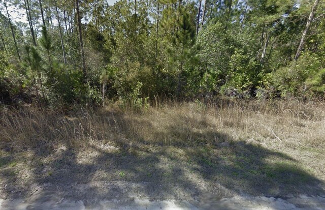 215 Royal Ave, Interlachen, FL 32148