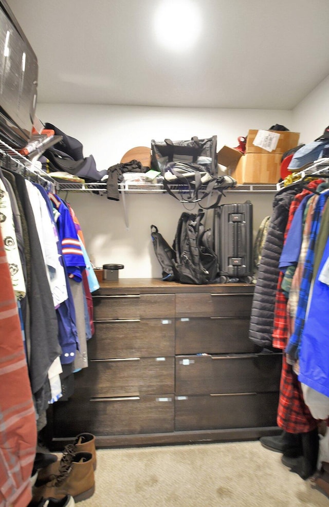 walk in closet with light carpet