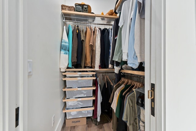 spacious closet with wood-type flooring