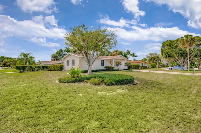 view of yard with driveway