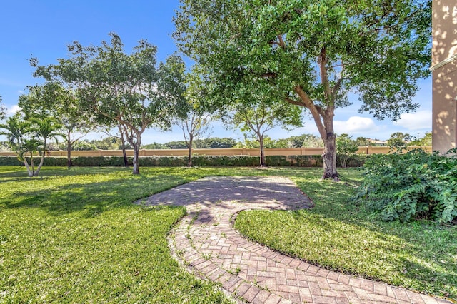 view of yard featuring a patio