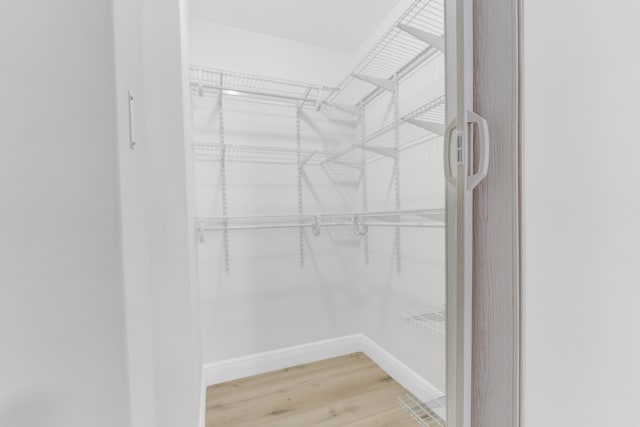 spacious closet featuring wood-type flooring