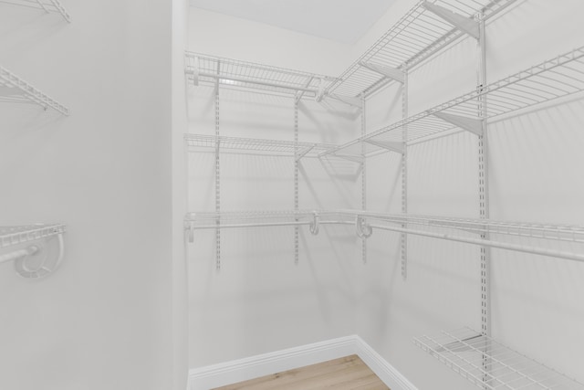 spacious closet with hardwood / wood-style flooring