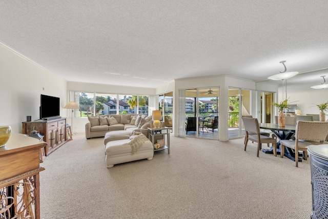 living room with light colored carpet and a textured ceiling