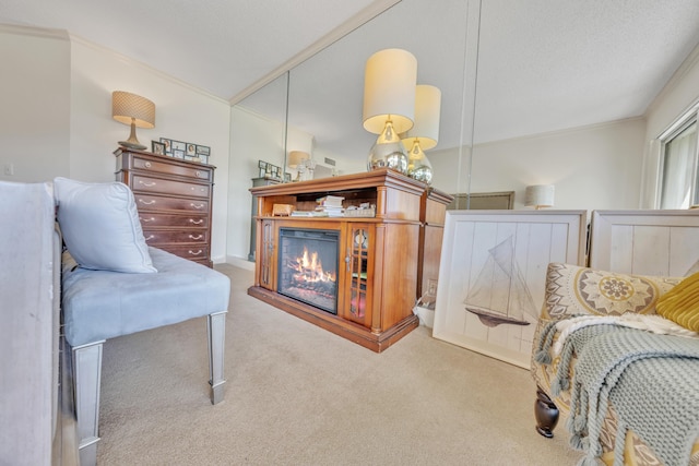 living area with ornamental molding, carpet, and a textured ceiling