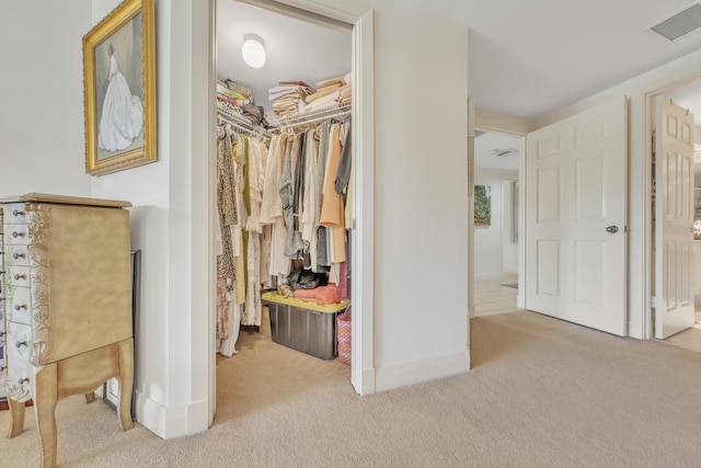 view of closet