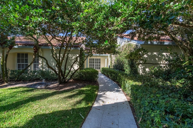 view of front facade featuring a front lawn and stucco siding