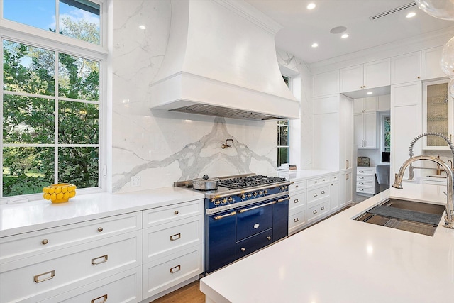 kitchen with sink, custom exhaust hood, tasteful backsplash, double oven range, and white cabinets