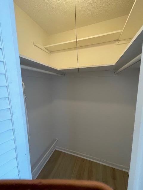 walk in closet featuring dark hardwood / wood-style flooring