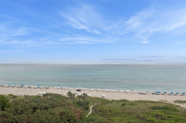 water view featuring a beach view