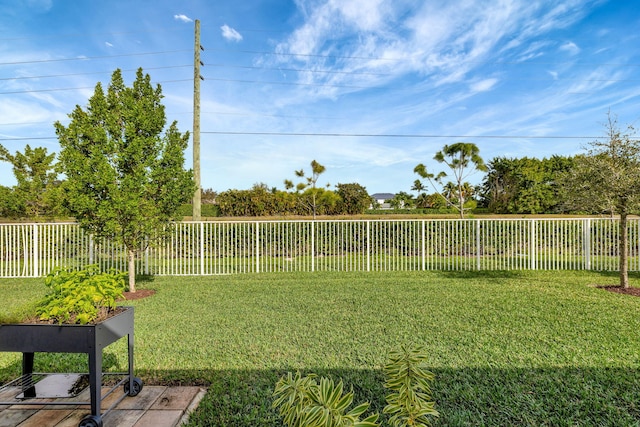 9633 Mosler Trl, Lake Worth, FL 33467 - view of fenced backyard