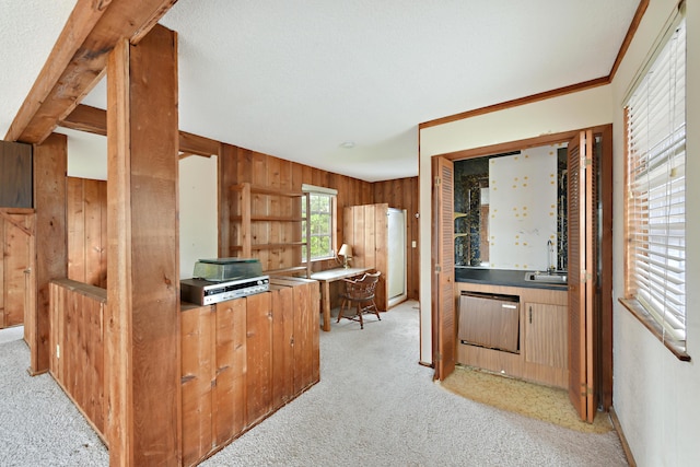 kitchen featuring light carpet, wooden walls, dishwashing machine, and a sink