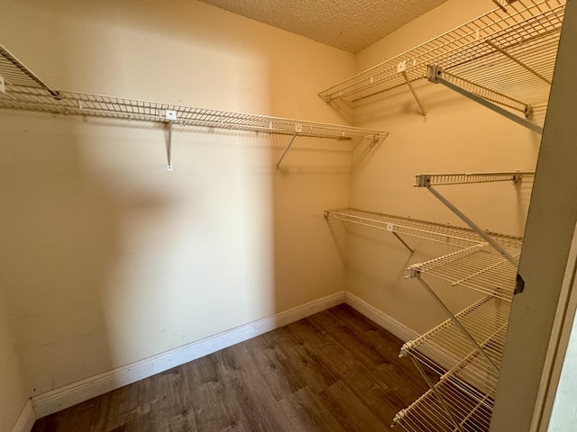 walk in closet with dark hardwood / wood-style floors