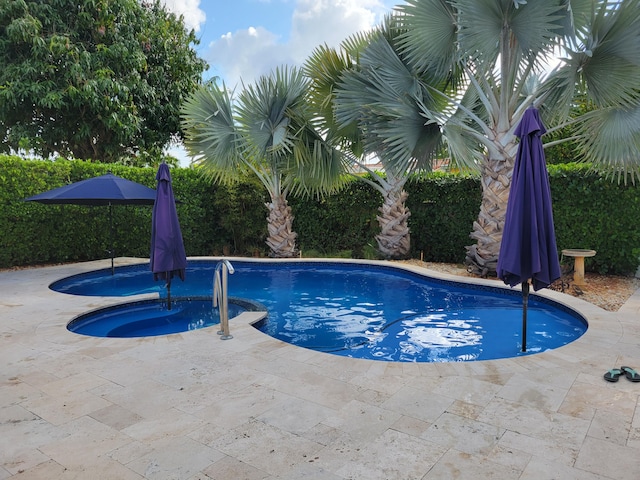 1821 N 50th Ave, Hollywood, FL 33021 - view of swimming pool featuring a pool with connected hot tub and a patio