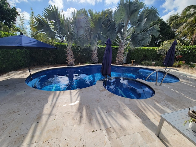 1821 N 50th Ave, Hollywood, FL 33021 - view of swimming pool featuring a pool with connected hot tub and a patio