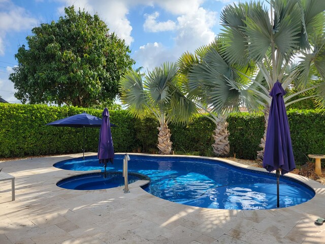 1821 N 50th Ave, Hollywood, FL 33021 - view of pool featuring an in-ground hot tub and a patio