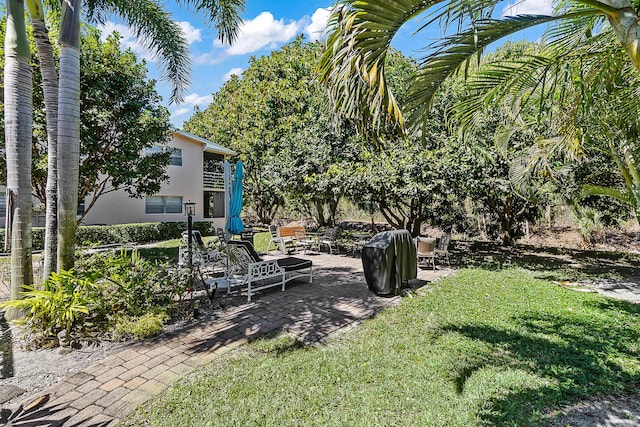 view of yard featuring a patio