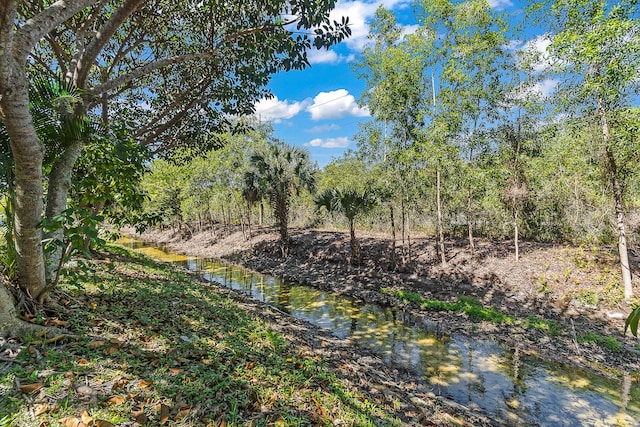 view of landscape with a wooded view