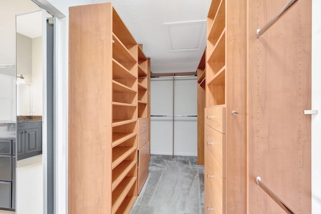 spacious closet with attic access and dark colored carpet