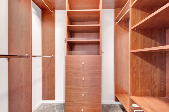 walk in closet with carpet