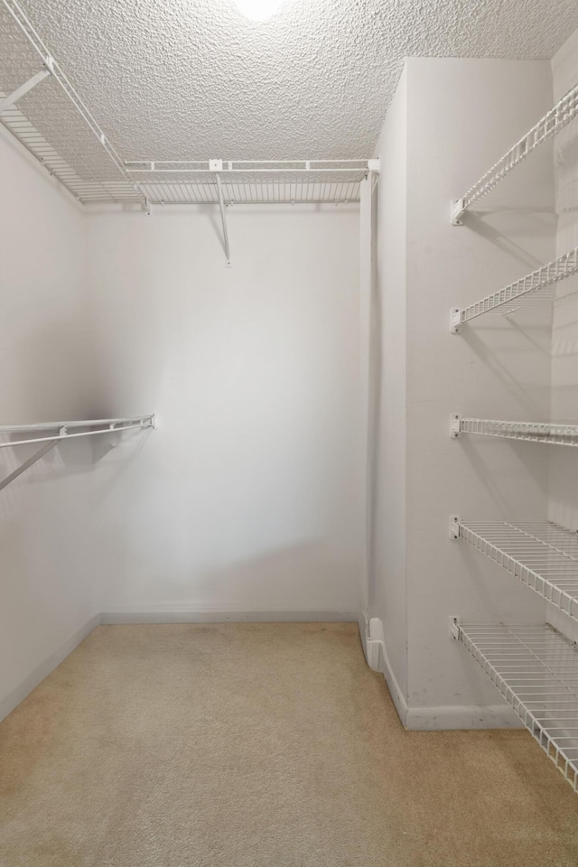 4640 Lucerne Lakes Blvd Unit 306, Lake Worth, FL 33467 - spacious closet with carpet flooring