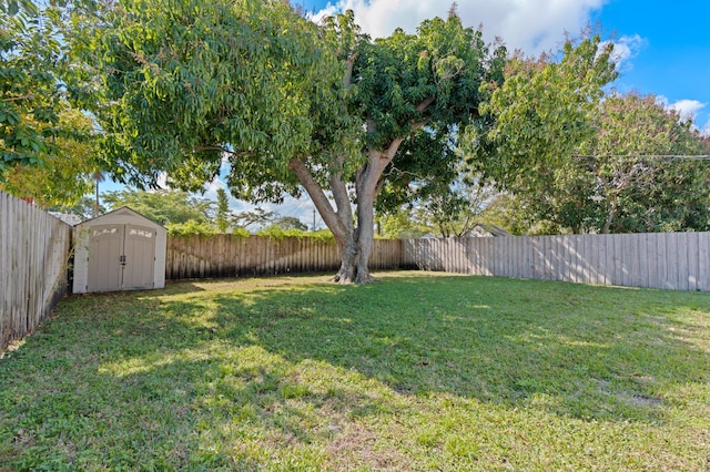 view of yard featuring a storage unit