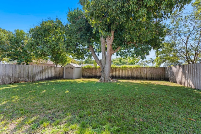 view of yard featuring a storage shed