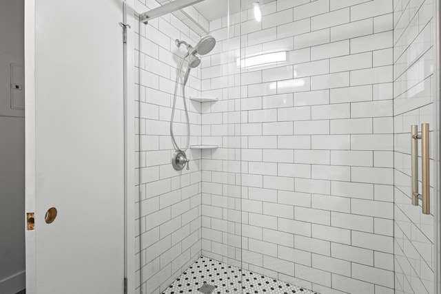 bathroom featuring a shower with shower door