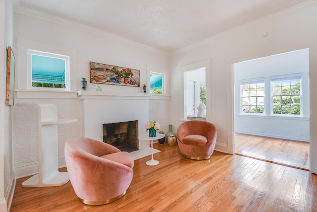 living area with a fireplace, ornamental molding, baseboards, and wood-type flooring