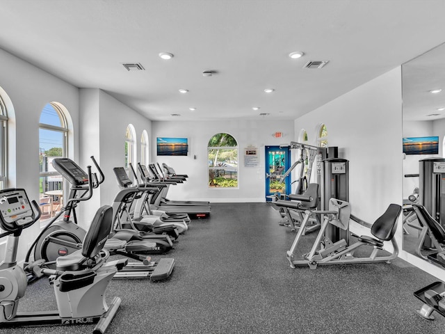 workout area featuring a wealth of natural light