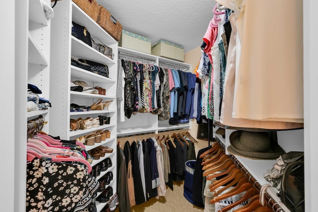 walk in closet featuring light carpet