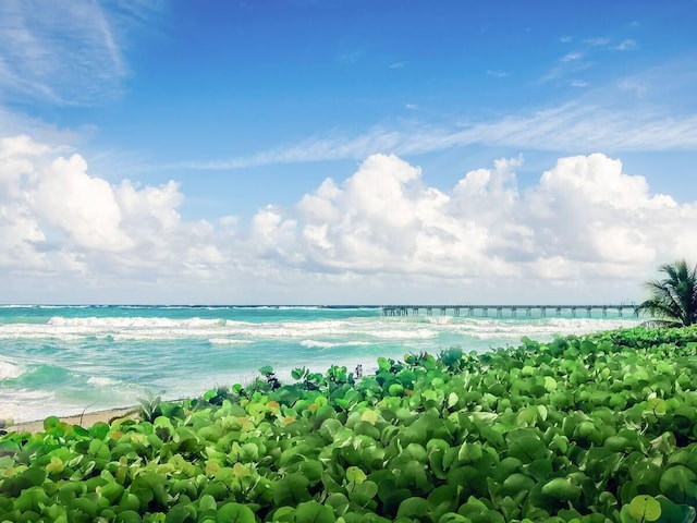 water view with a view of the beach