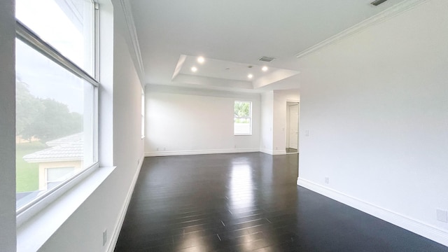 spare room featuring ornamental molding, dark hardwood / wood-style floors, and a tray ceiling