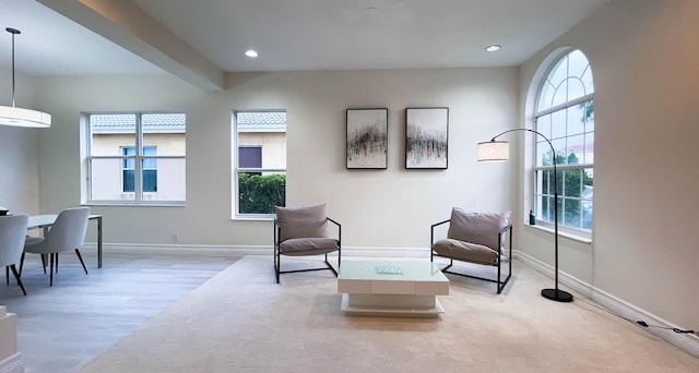 living area with light hardwood / wood-style flooring