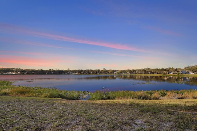 property view of water