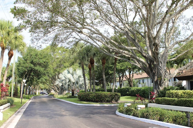 3371 Jog Park Dr, Greenacres, FL 33467 - view of street