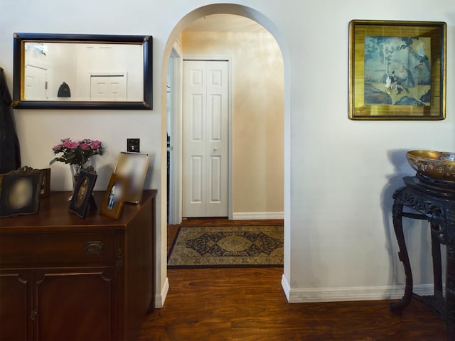 foyer entrance featuring dark wood-type flooring