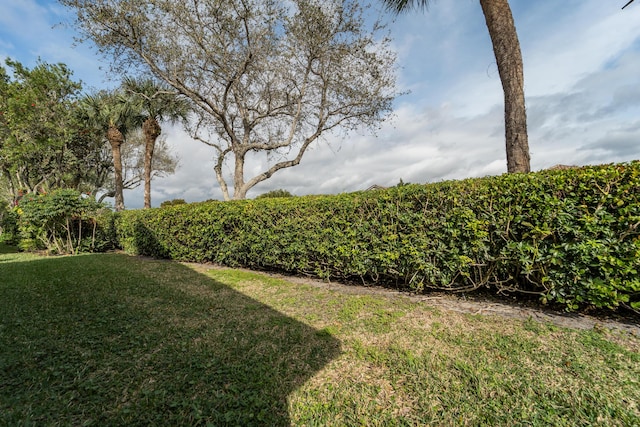 7087 Lombardy St, Boynton Beach, FL 33472 - view of yard