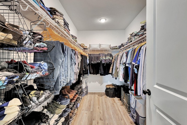 walk in closet featuring wood finished floors