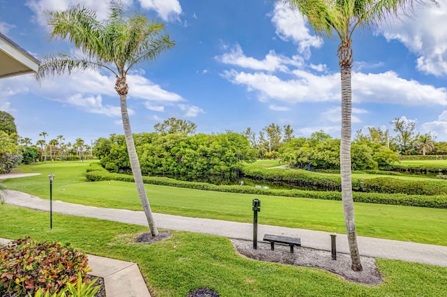 view of property's community featuring a yard