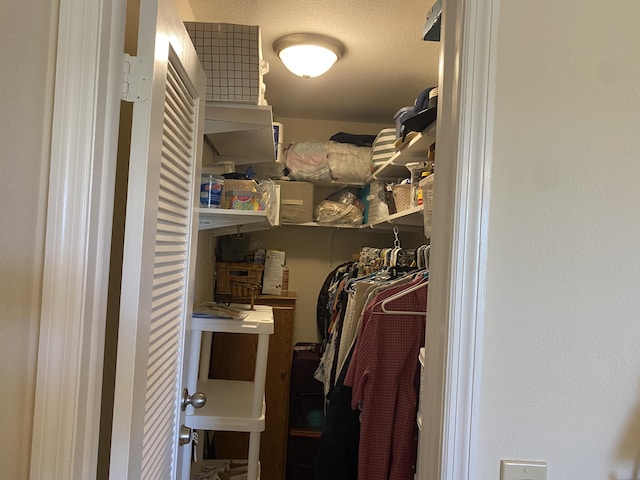 view of walk in closet