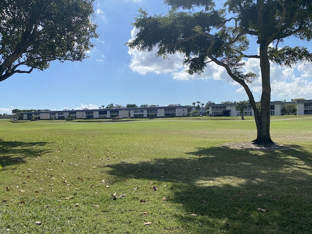 view of community with a lawn