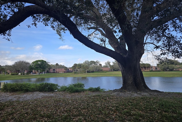 property view of water